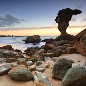 Central Coast